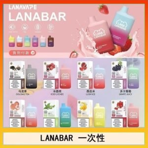 LANA BAR可充电一次性電子煙霧化5000口(3.0%)