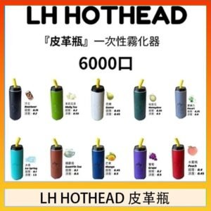 LH HOTHEAD皮革瓶電子煙可充電6000口一次性