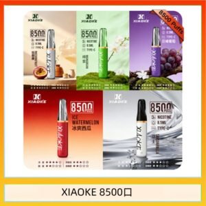 梟客XIAOKE一次性電子菸拋棄式8500口